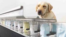 צילום: איתן ברנט